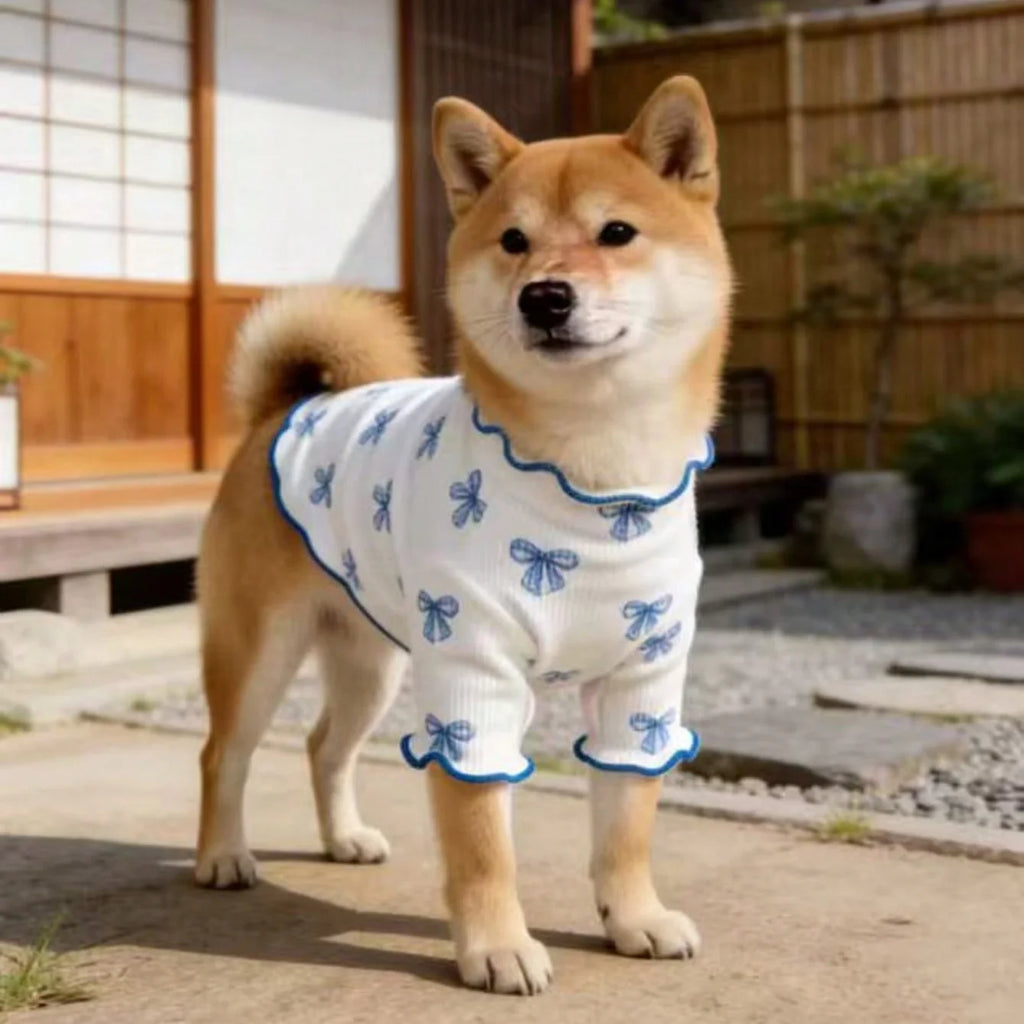 Pet Dog/Cat Clothing